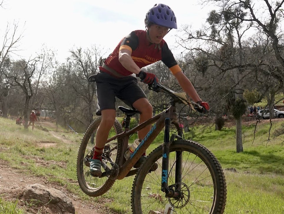 Administrative support